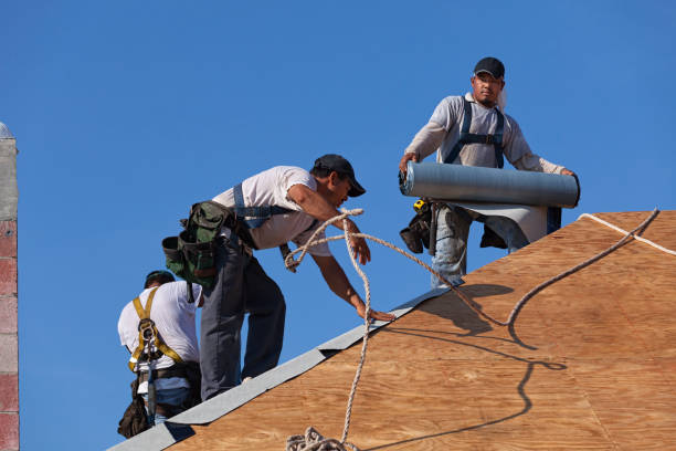 Best Roof Gutter Cleaning  in Pomeroy, WA